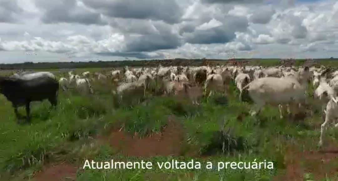 Inny w , State of Mato Grosso 11959700