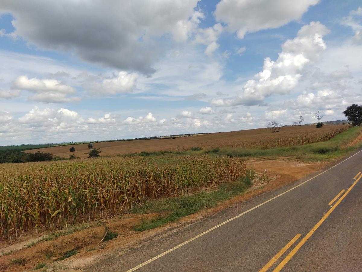 Komersial di , State of Maranhão 11959702