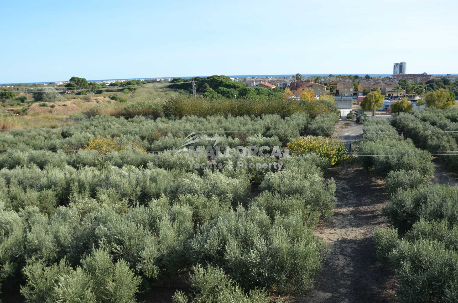 Land in Tarragona, Catalonia 11959711