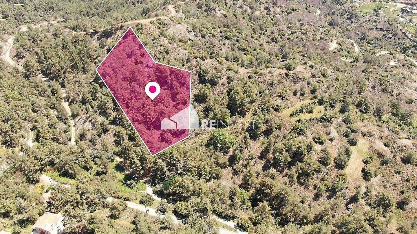 Land in Palodeia, Lemesos 11959808