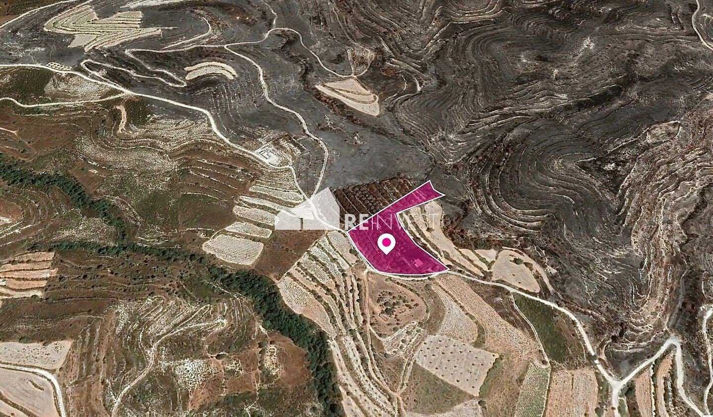 Terre dans Soularavia, Lémésos 11959811