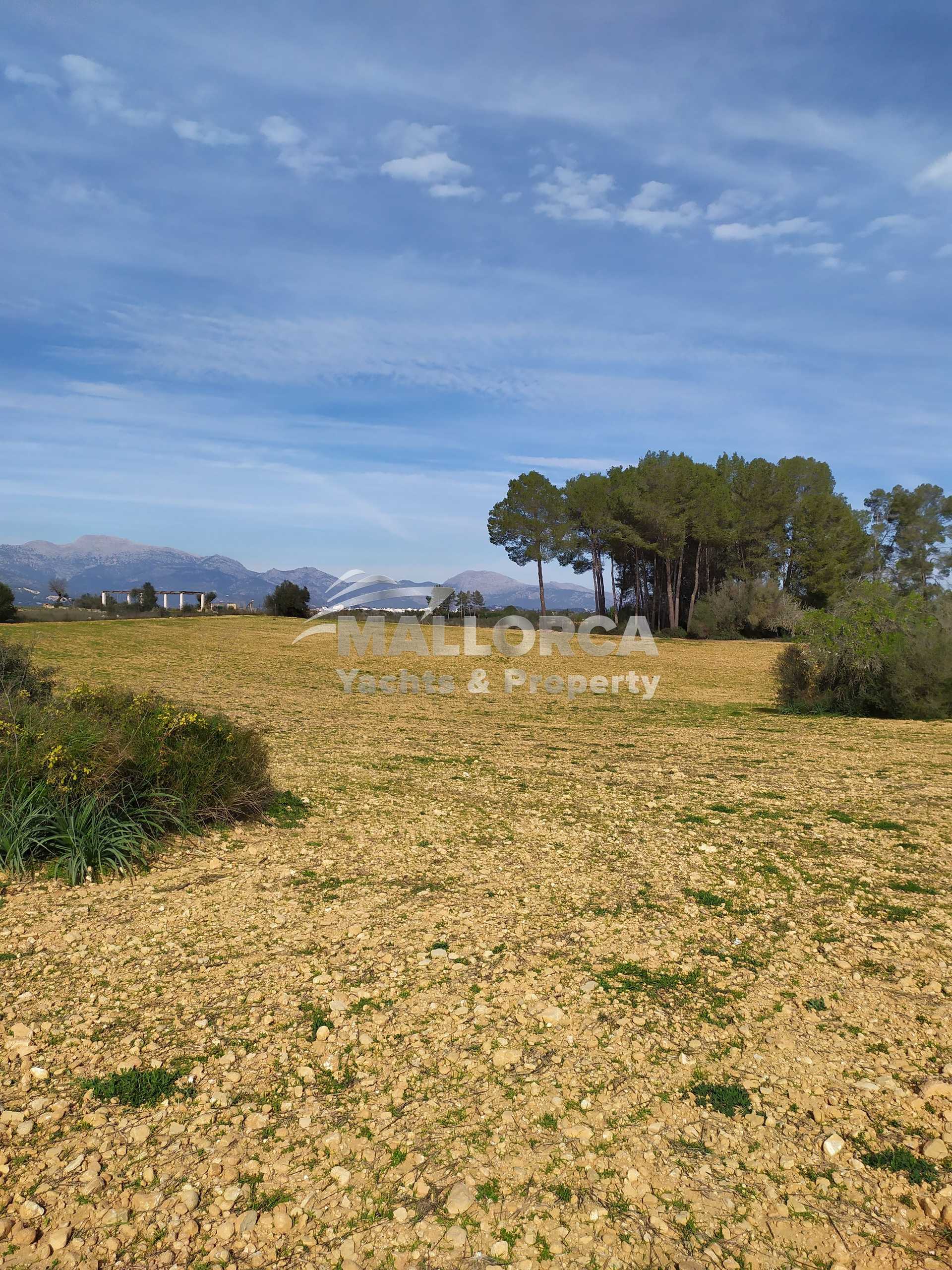 Tanah dalam Sencelles, Balearic Islands 11964628