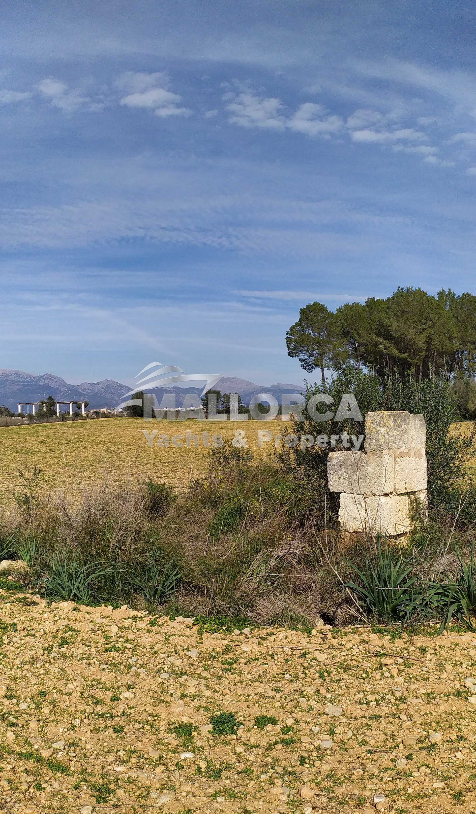 Land in Sencelles, Balearic Islands 11964628