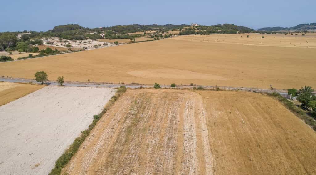 Land in Montuïri, Balearic Islands 11964633