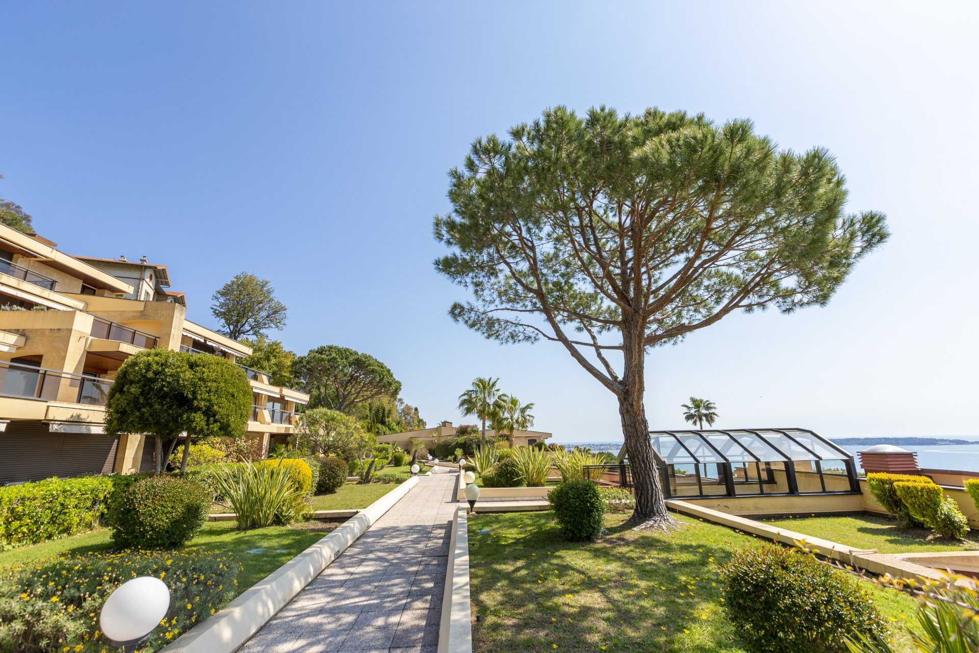 Condominium dans Cannes, Provence-Alpes-Côte d'Azur 11965422