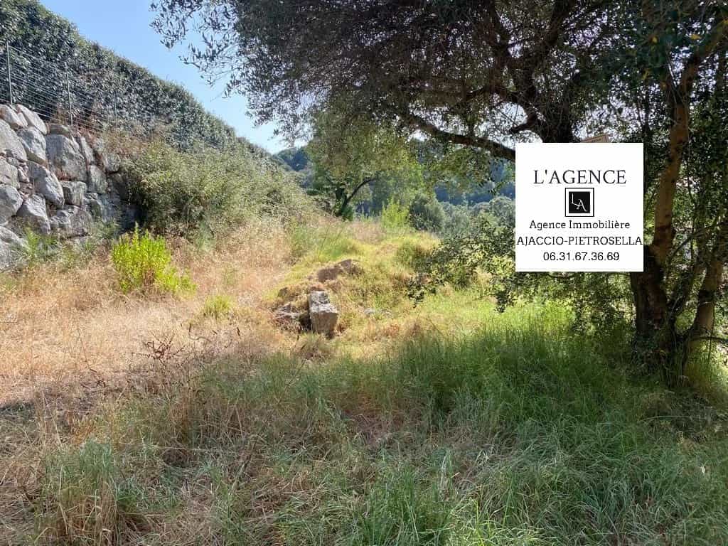 Land in Bottacina, Corsica 11967065