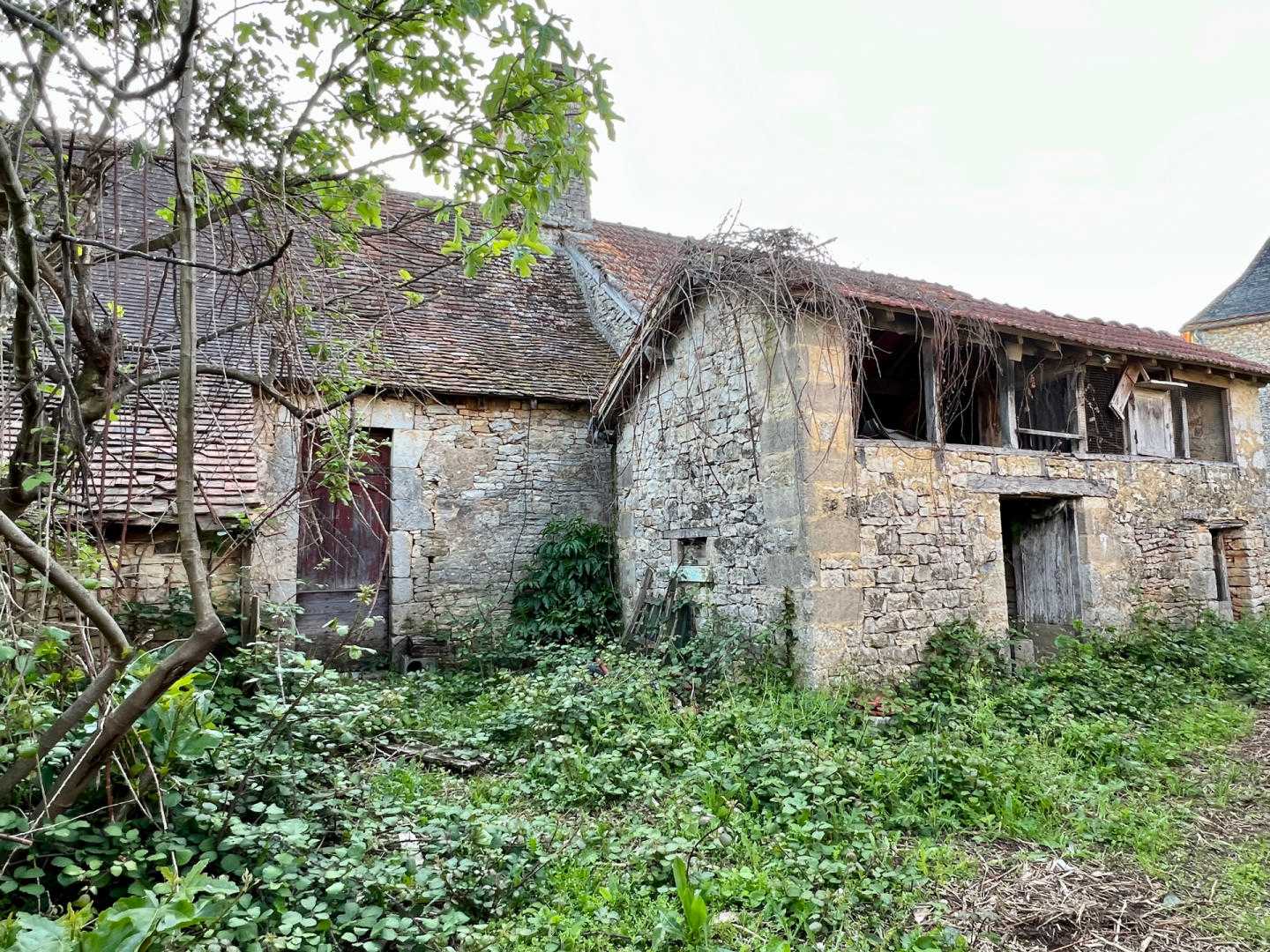 Haus im Thenon, Nouvelle-Aquitaine 11971289