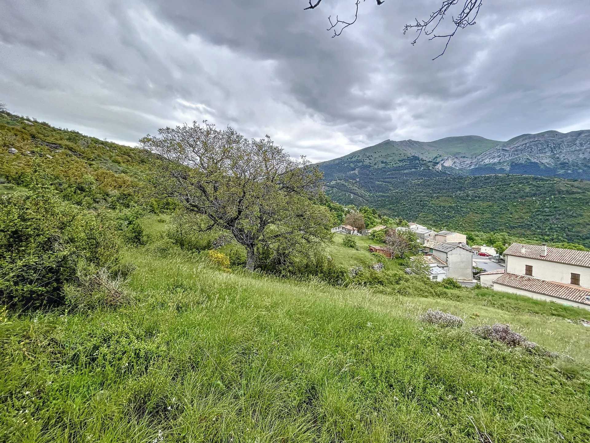 Tanah dalam Demandolx, Provence-Alpes-Côte d'Azur 11973453