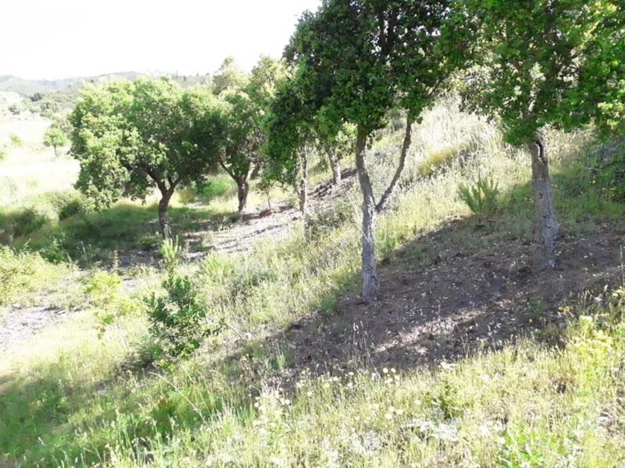 Tanah dalam Odiáxere, Faro 11974136