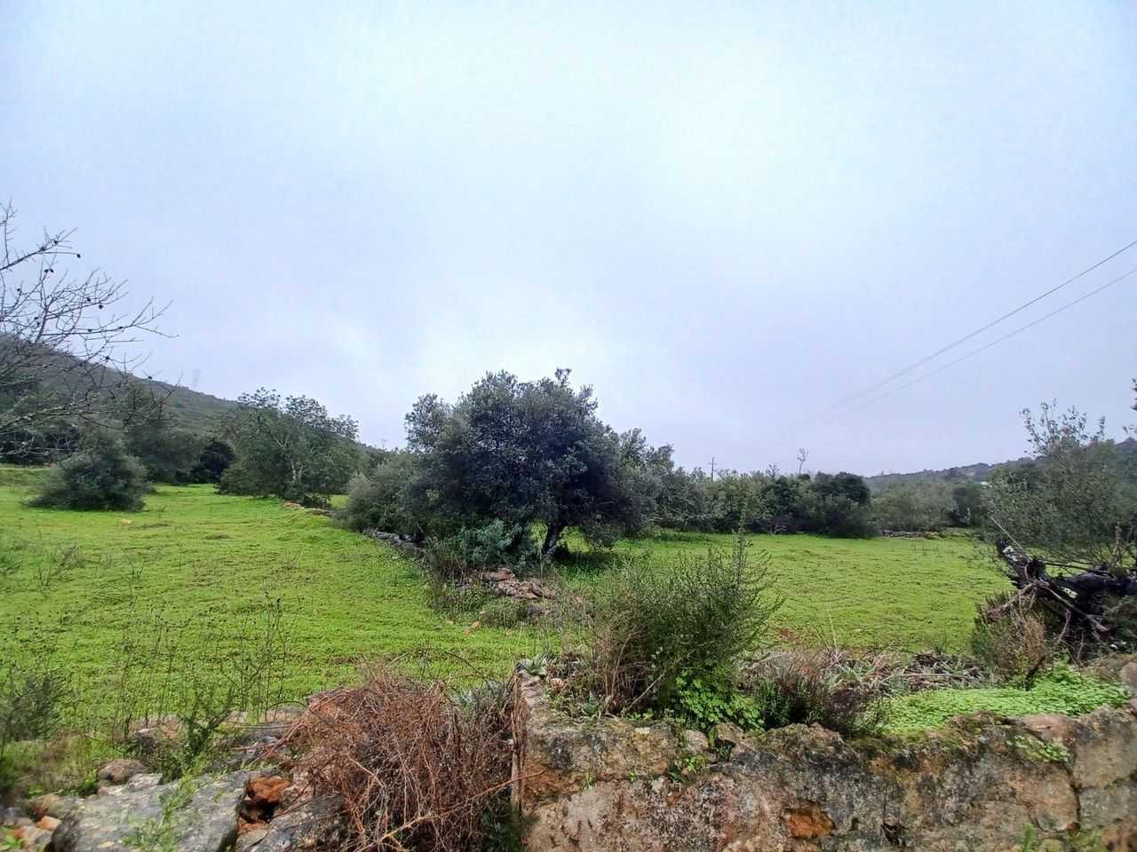 Land in Loulé, Faro District 11974286