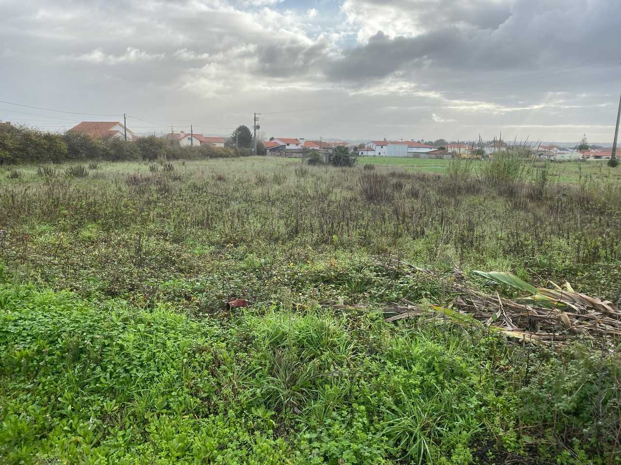 Tanah dalam Caldas da Rainha, Leiria 11974357