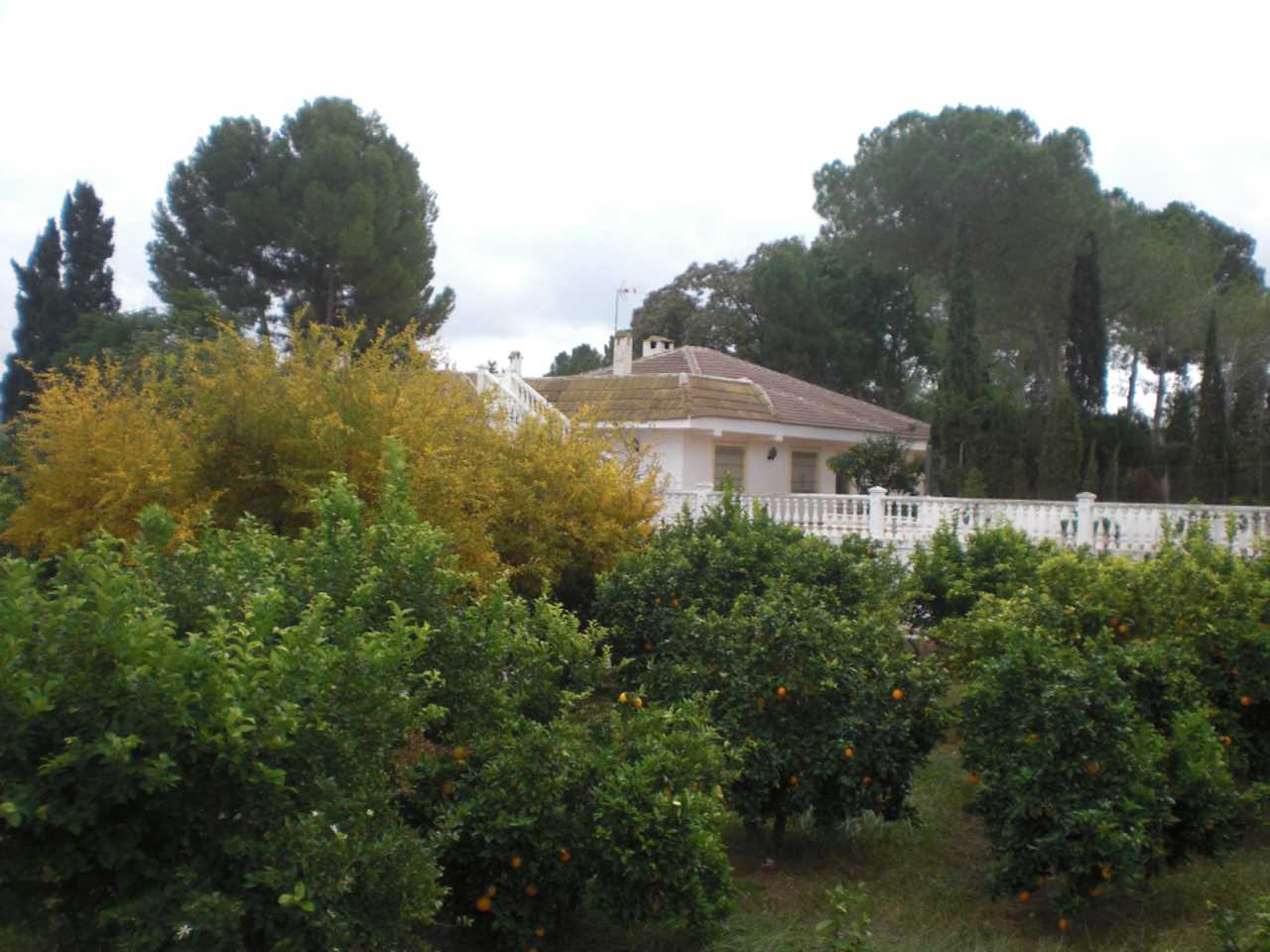 House in , Region of Murcia 11974586