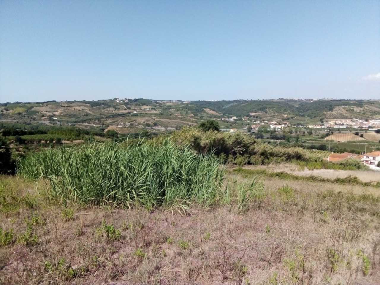 Land i Bombarral, Leiria District 11974946