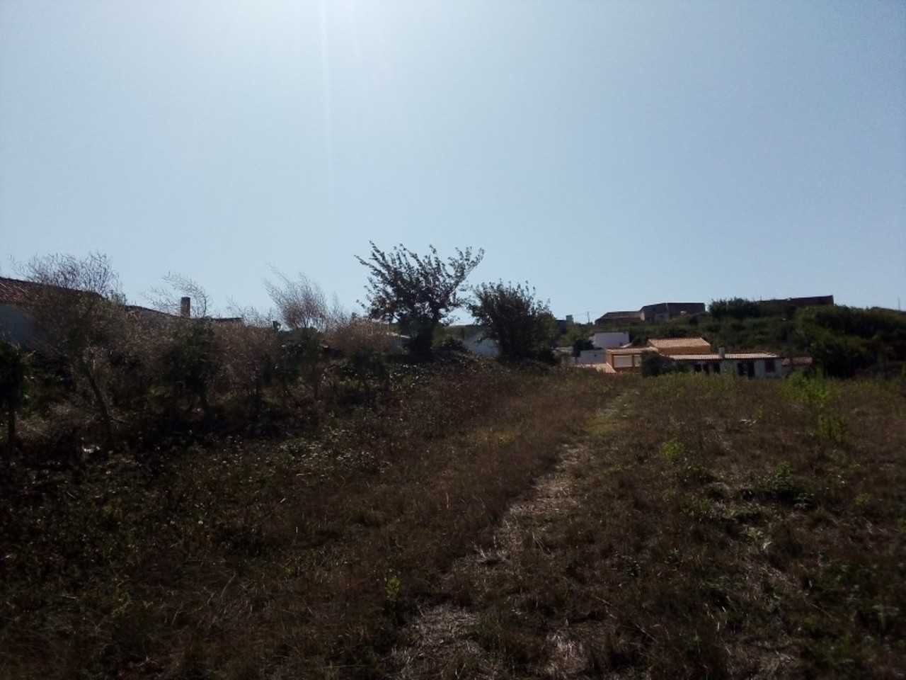 Земельные участки в Bombarral, Leiria District 11974946