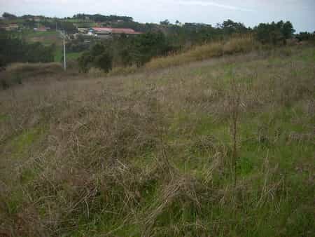 Tanah dalam Salir de Matos, Leiria 11975049