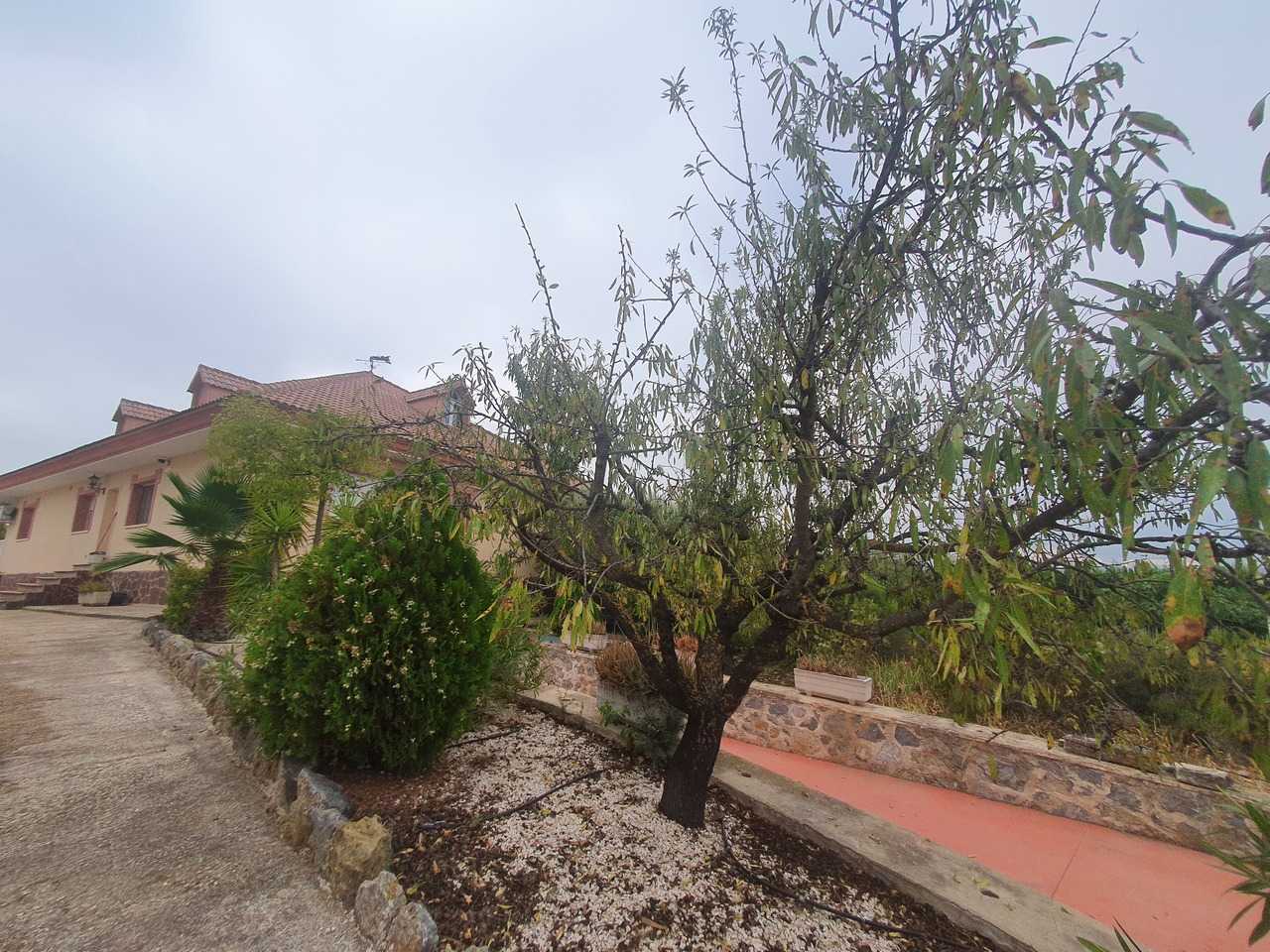 Hus i Moratalla, Region of Murcia 11975420