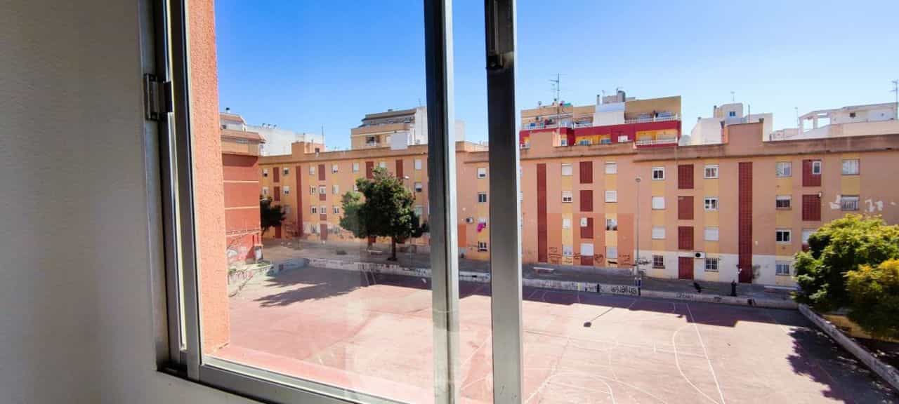 सम्मिलित में Torrevieja, Valencian Community 11975429