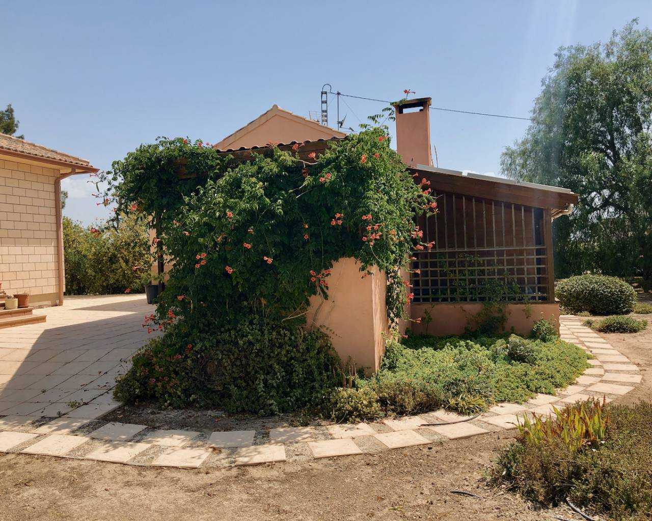 House in Catral, Valencian Community 11975504