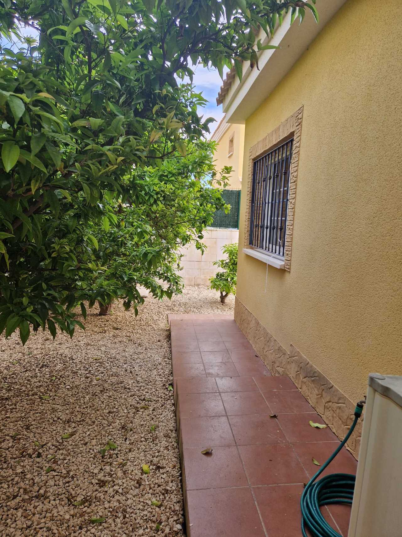 Будинок в Algorfa, Comunidad Valenciana 11976336