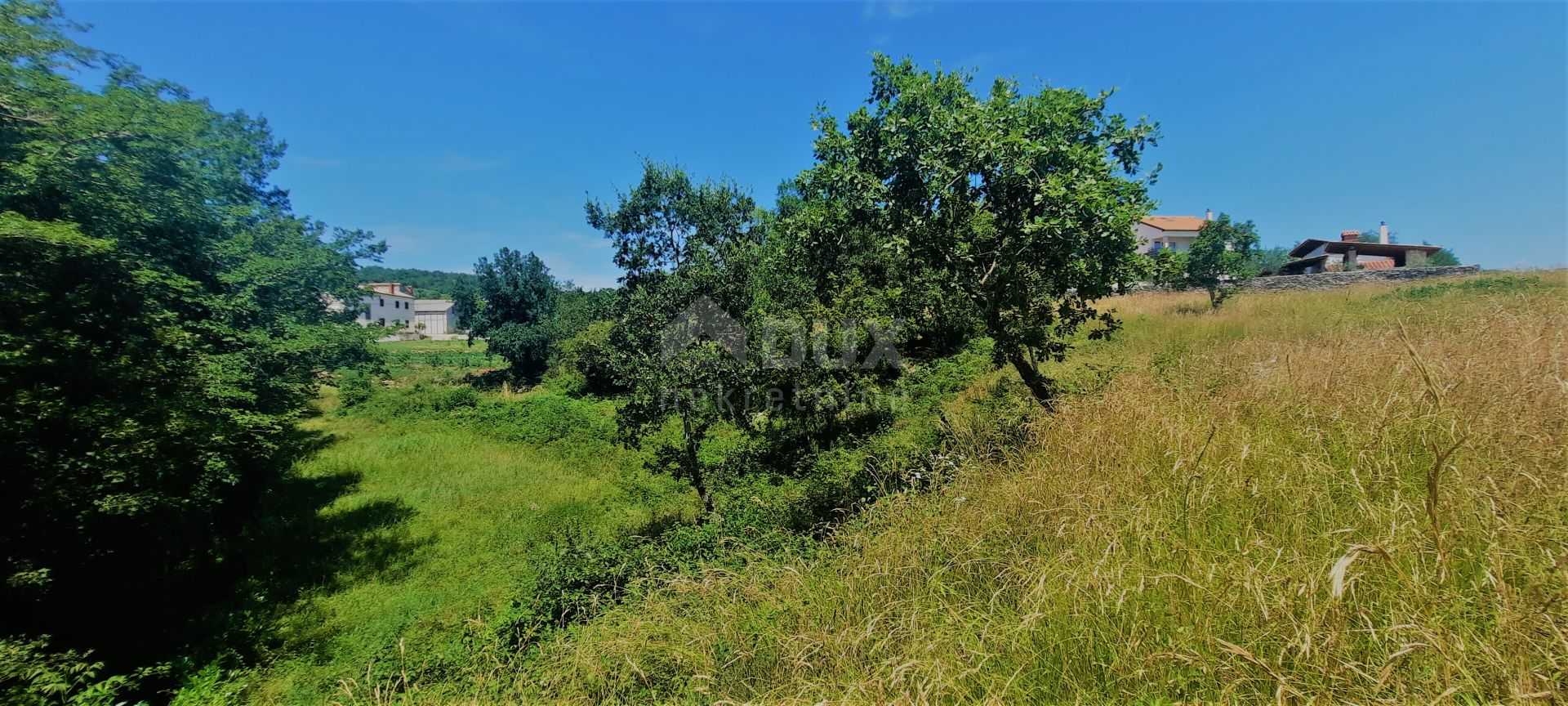 Land in Buzet, Istria County 11977376