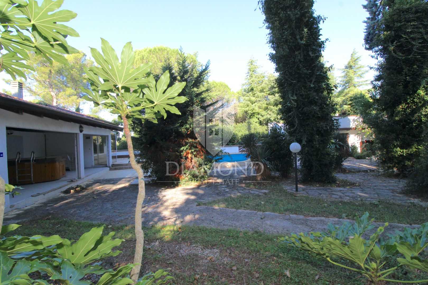 Γραφείο σε Dajla, Zadarska županija 11980503