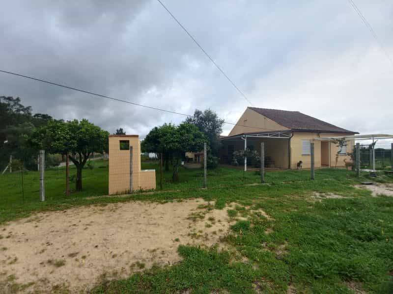 House in Madalena, Santarem 11988962