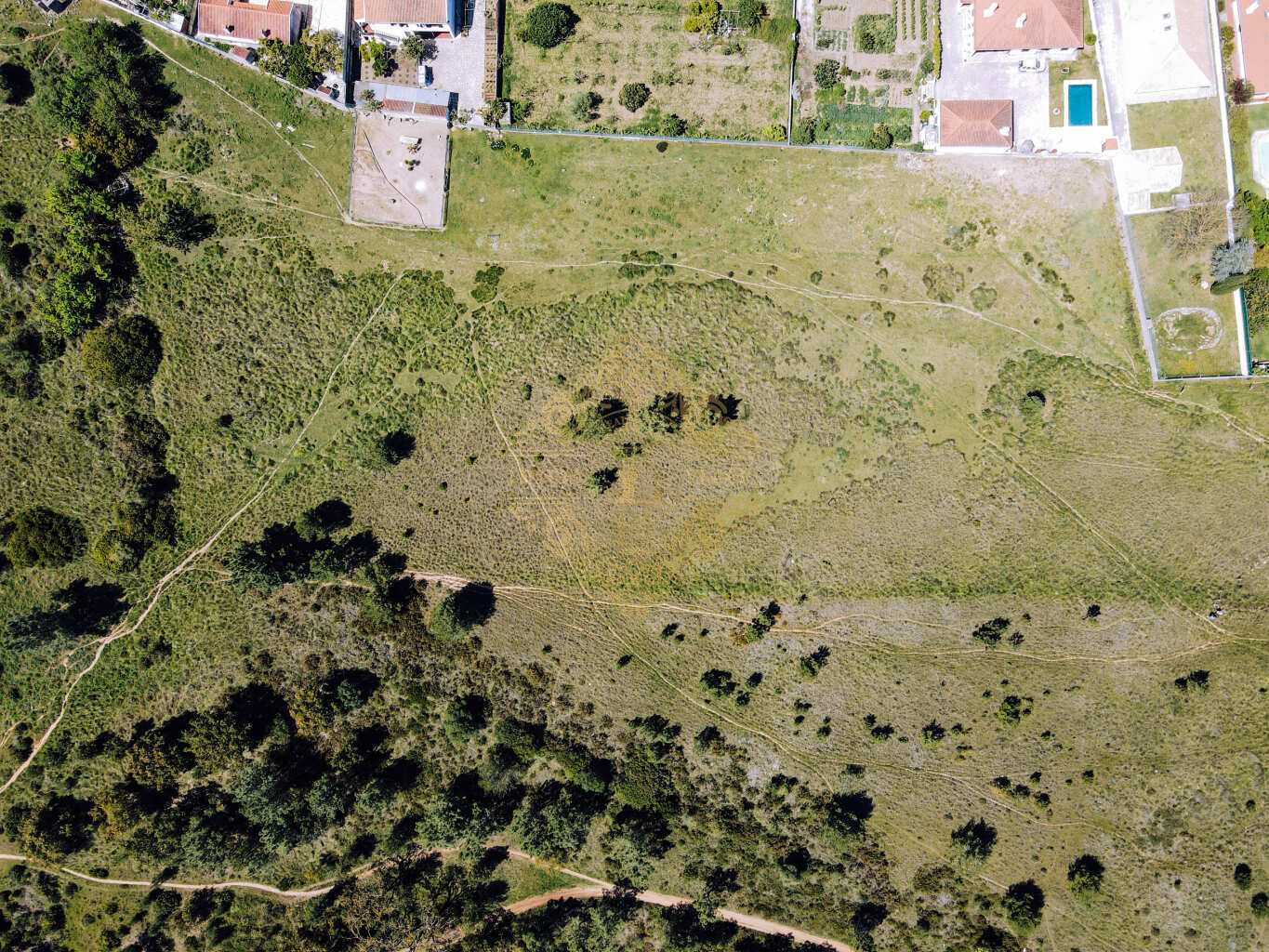 Land in Cotovia, Setubal 11991143