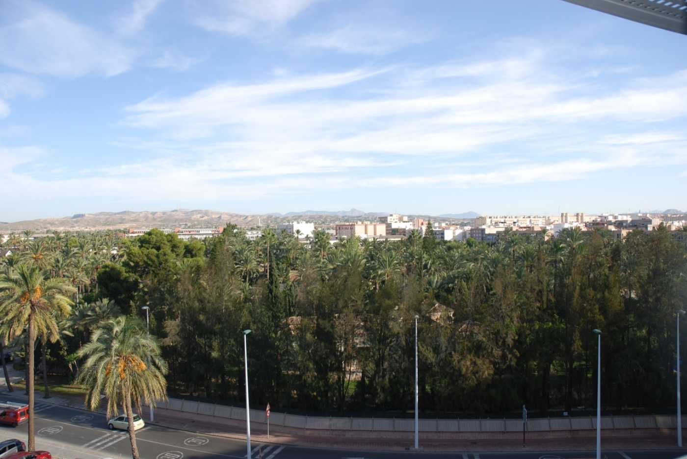 Eigentumswohnung im Elx, Comunidad Valenciana 11992589