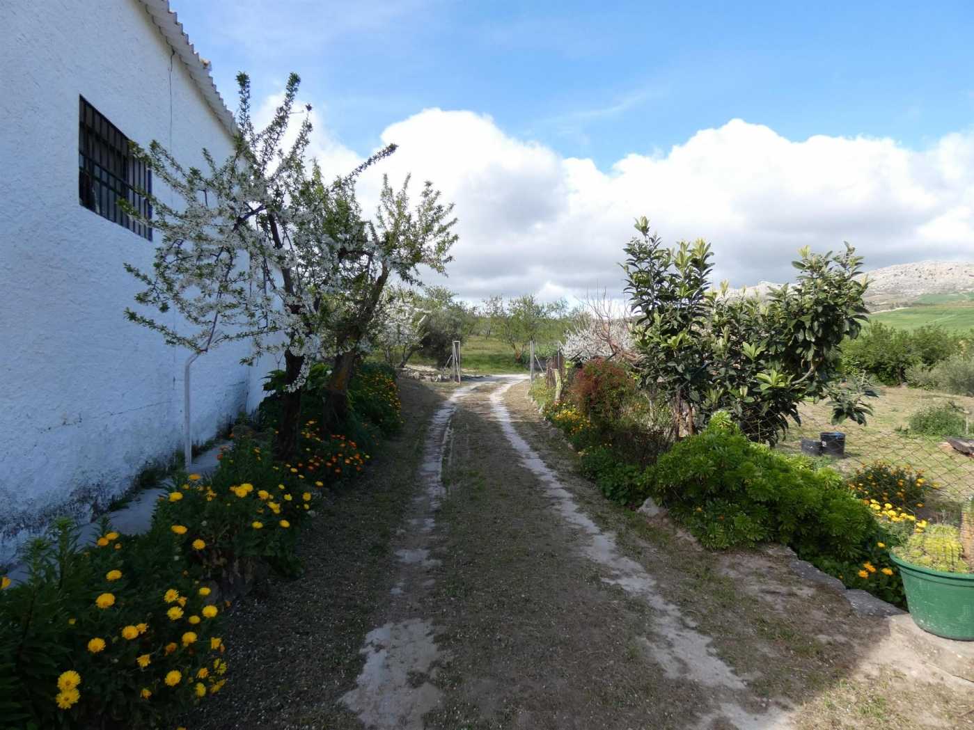 жилой дом в Ardales, Andalucía 11994114