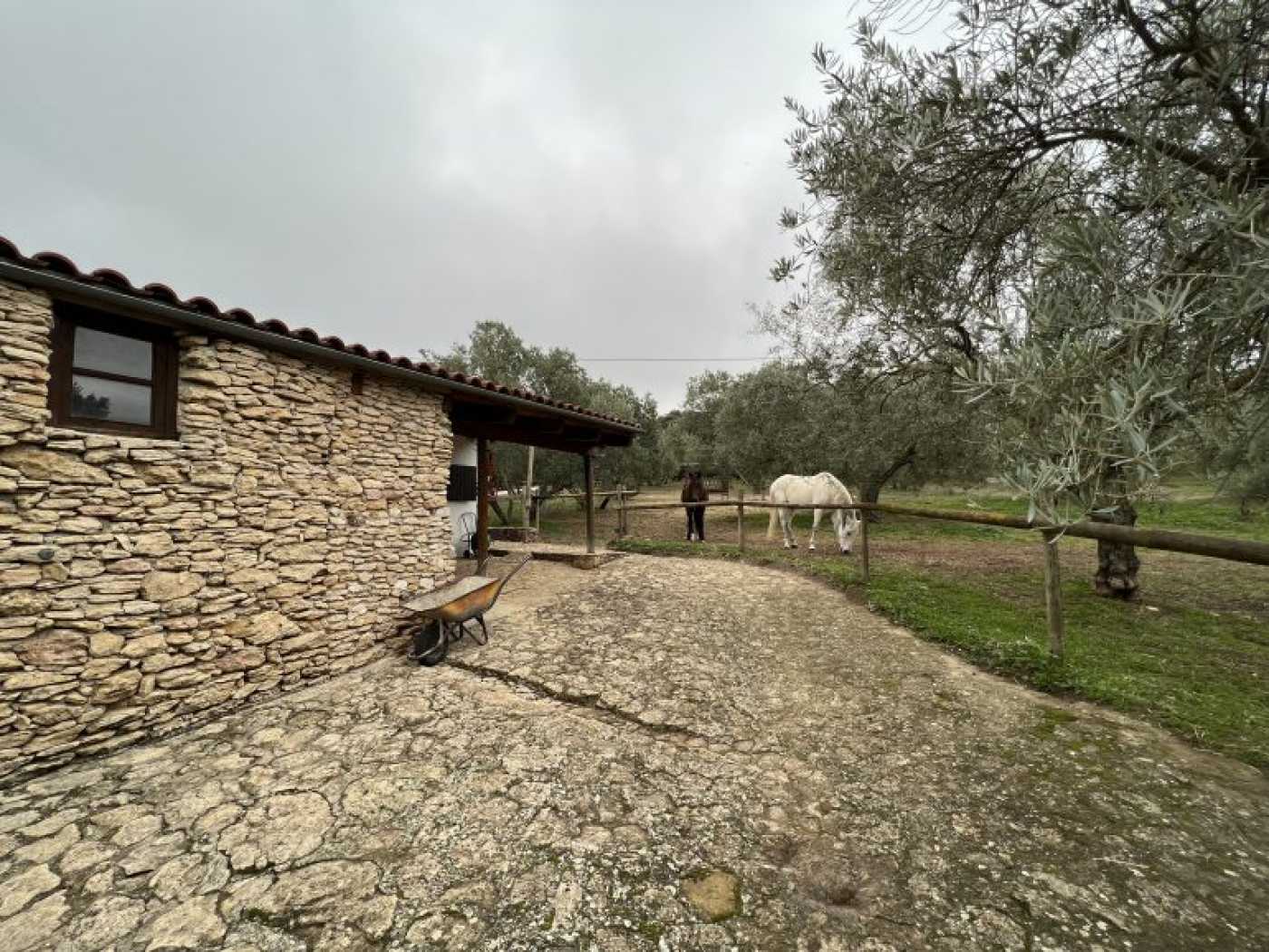Haus im Ronda, Andalusien 11995613