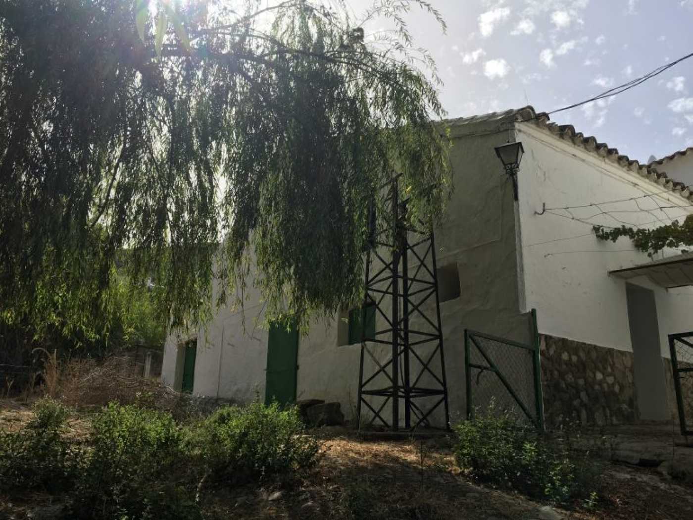 Hus i Algodonales, Andalusia 11995616