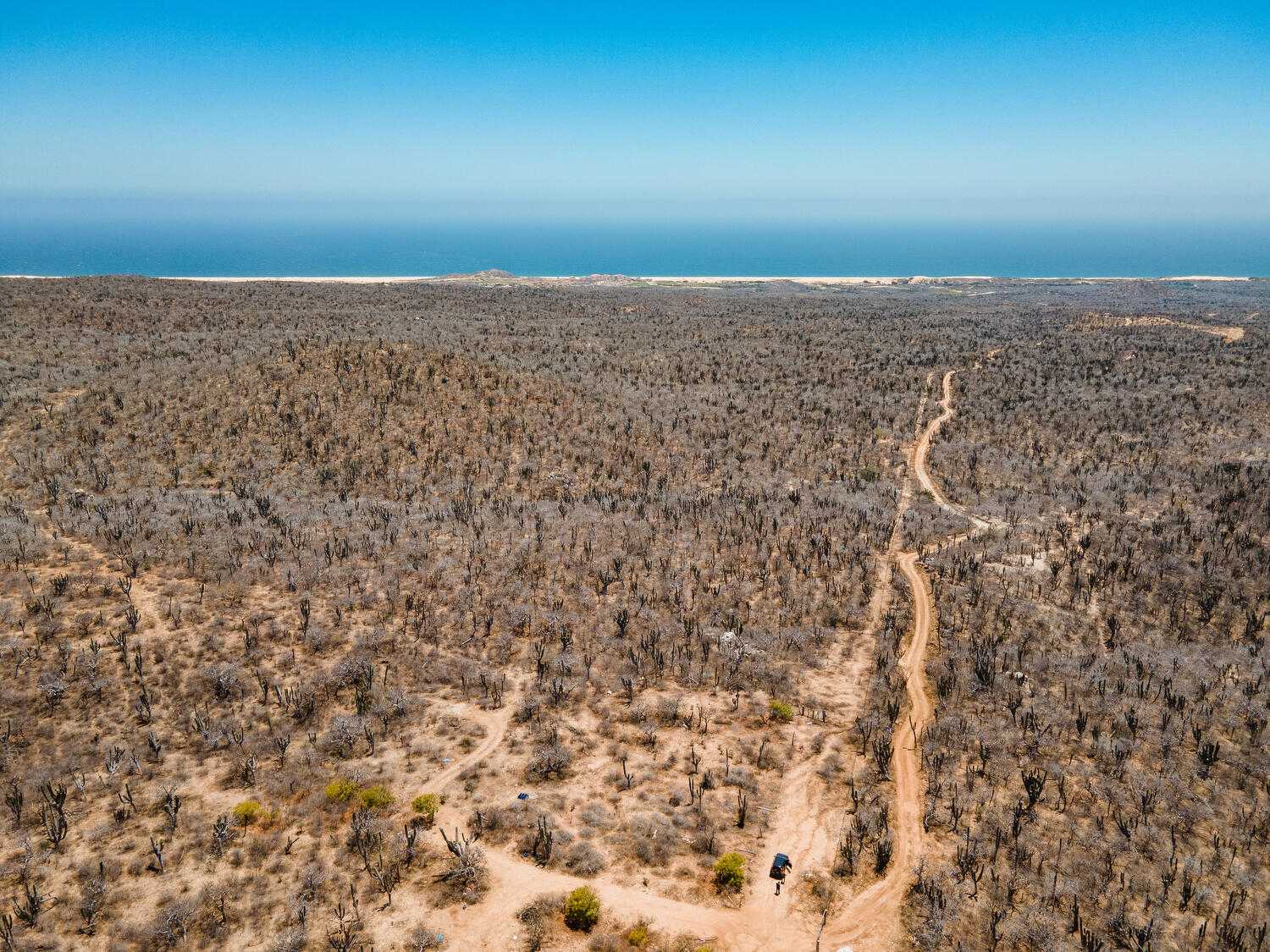Land im Cabo San Lucas, Baja California Sur 12000104