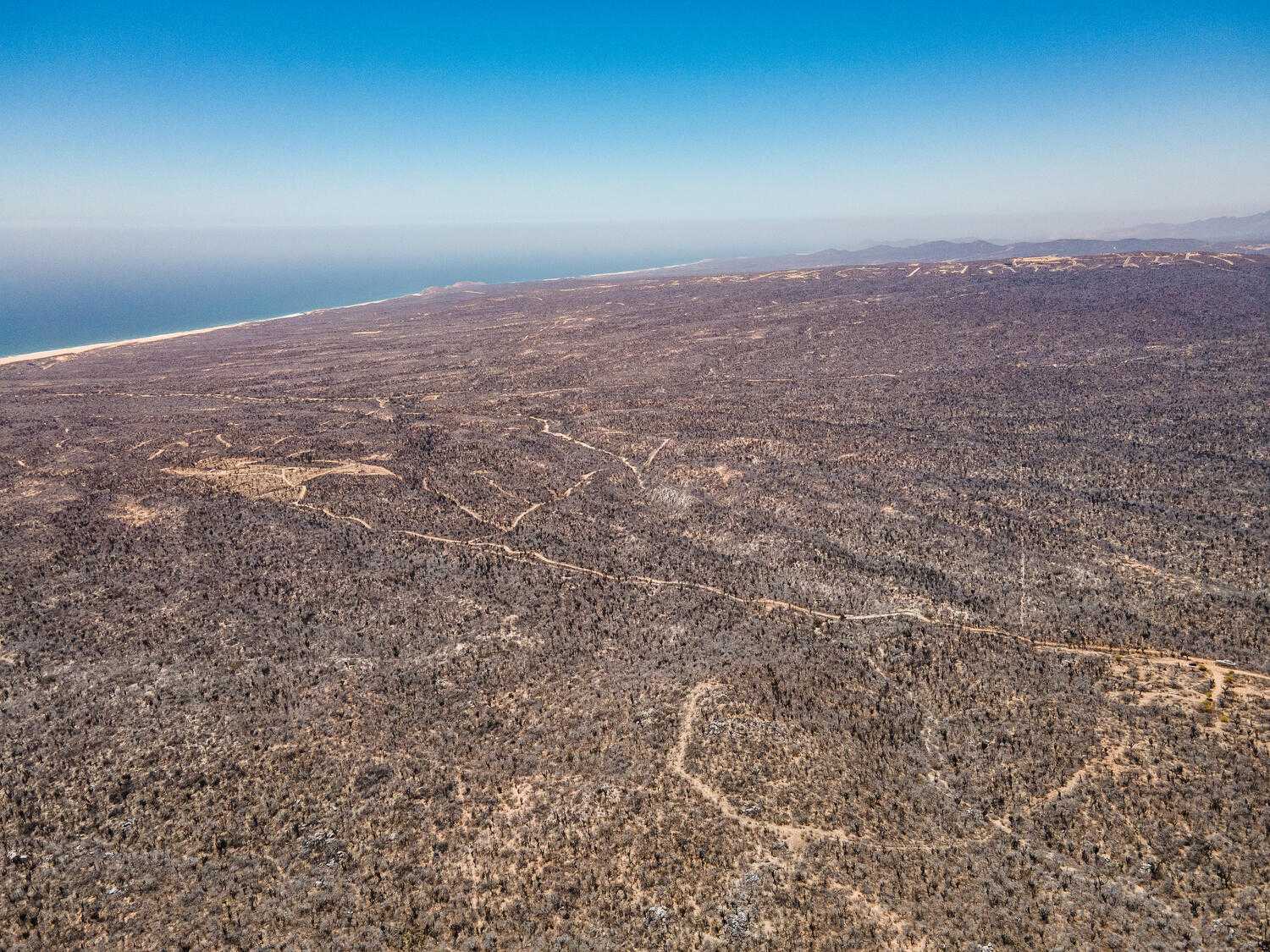 土地 在 Cabo San Lucas, Baja California Sur 12000104
