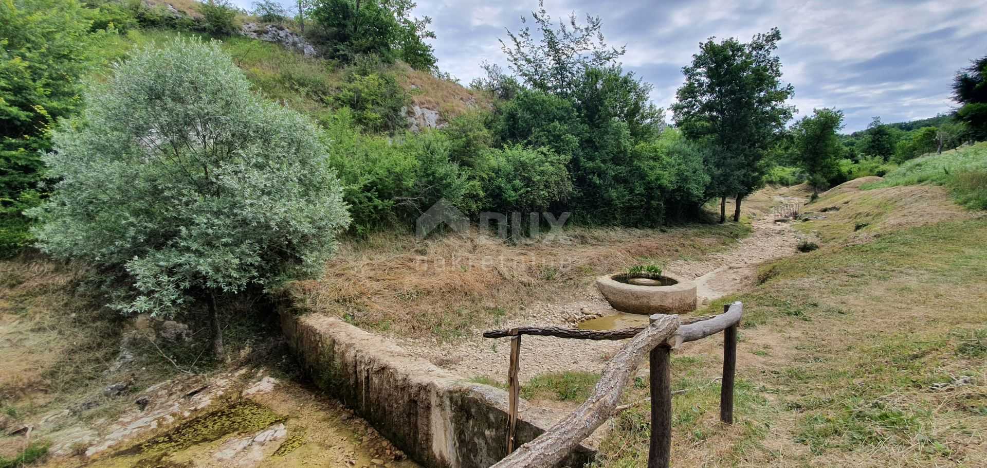 بيع بالتجزئة في Motovun, Istria County 12000184