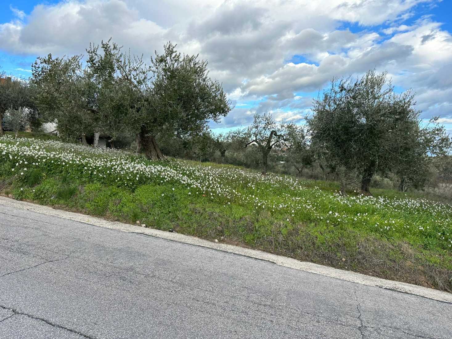 Tanah dalam Torrevecchia Teatina, Abruzzo 12003007