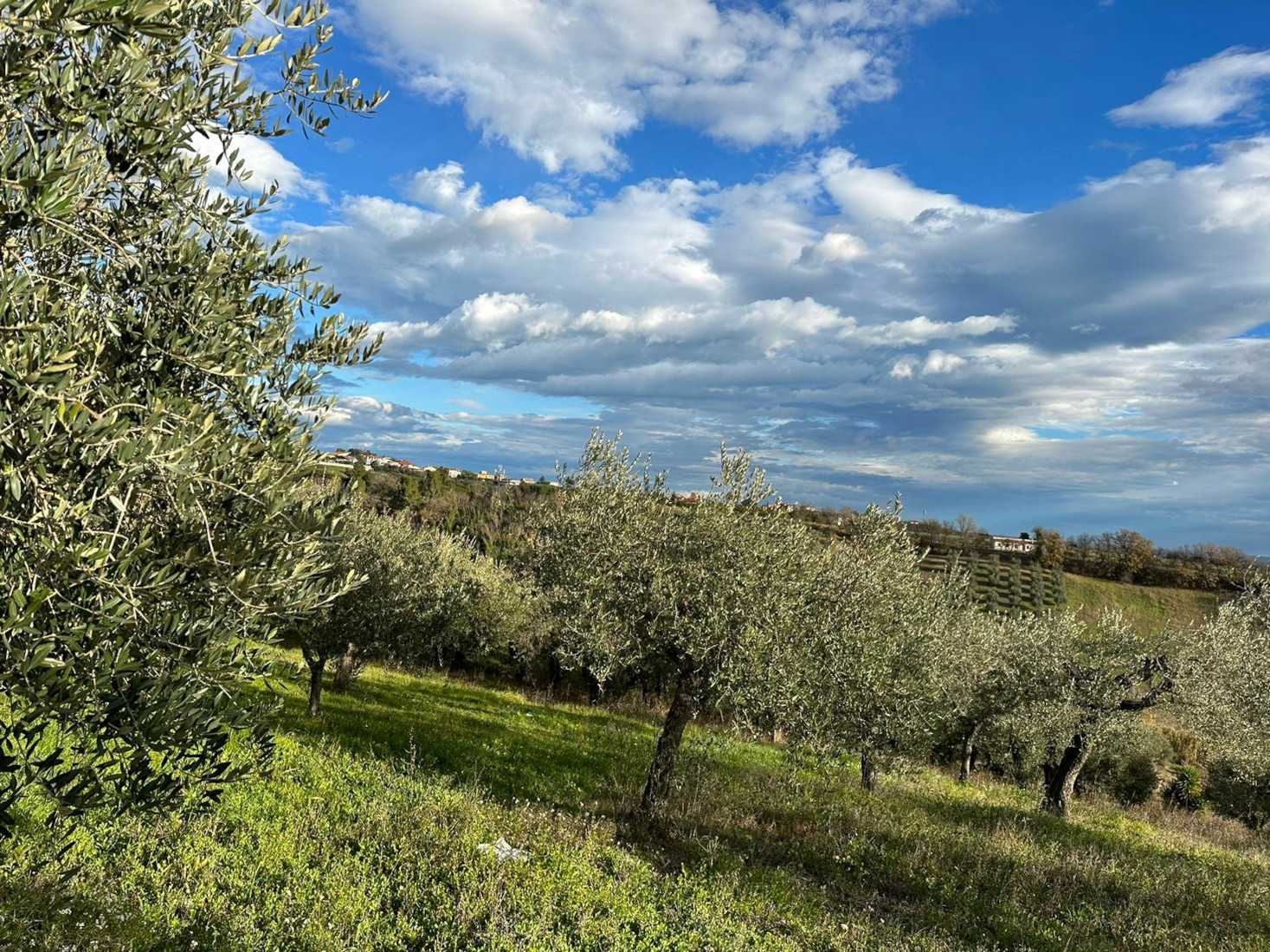 Land i Torrevecchia Teatina, Abruzzo 12003007