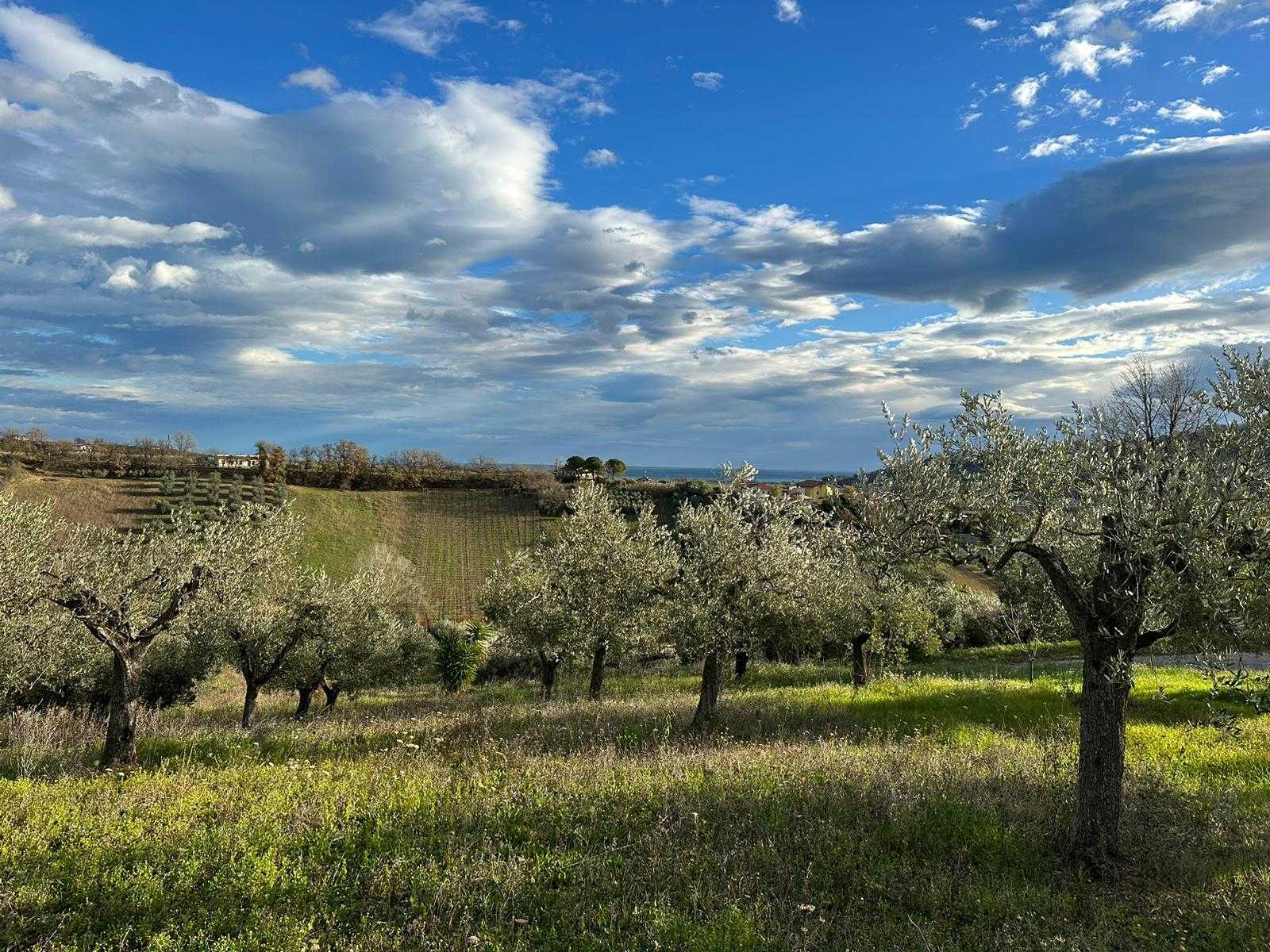 Tanah dalam Torrevecchia Teatina, Abruzzo 12003007