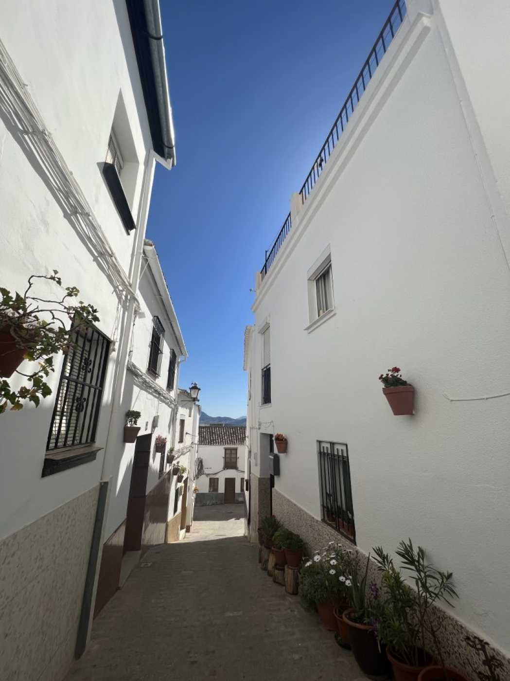 σπίτι σε Olvera, Andalusia 12007069