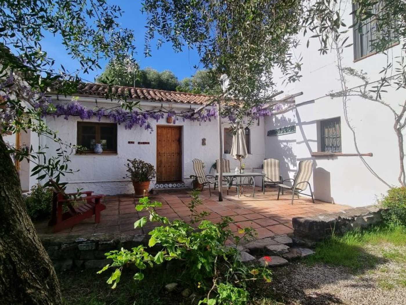 Haus im Gaucín, Andalusia 12007073