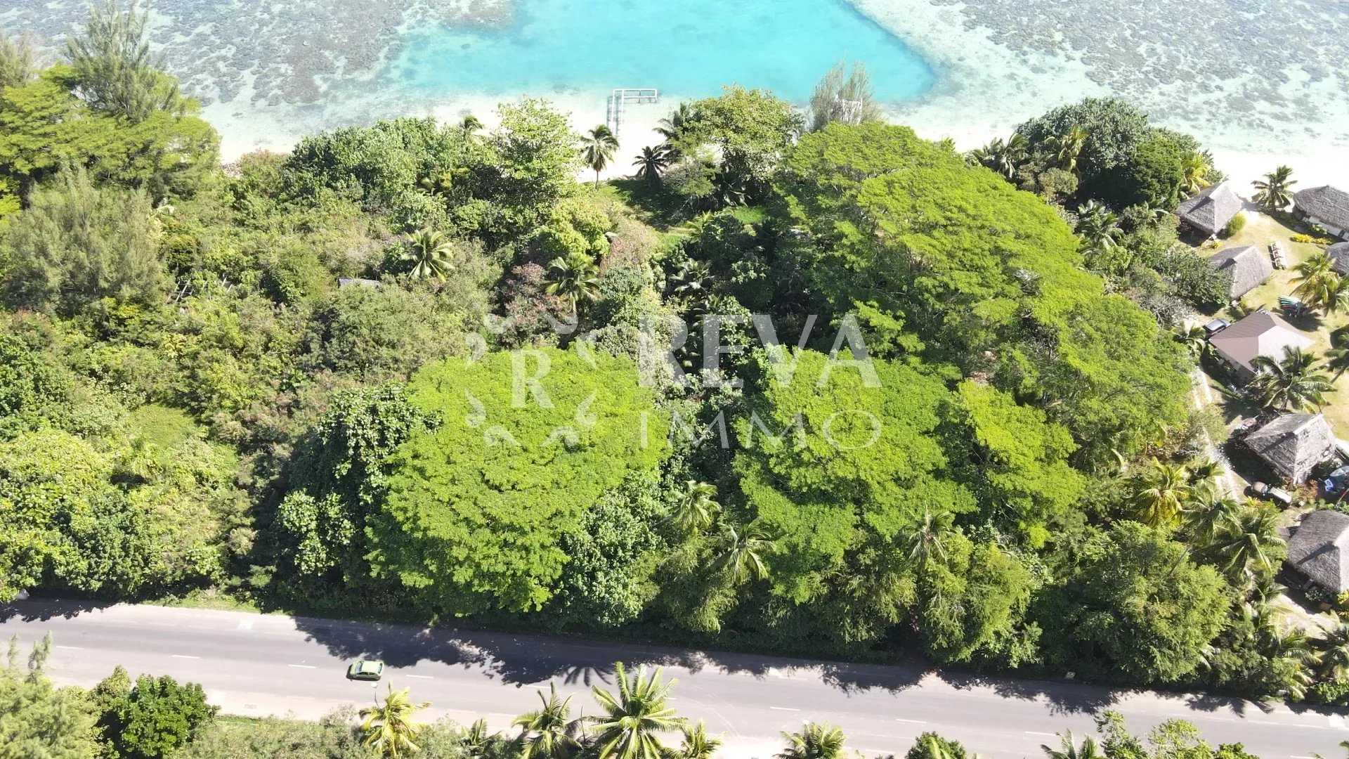 Terre dans Papeete, Iles du Vent 12013354