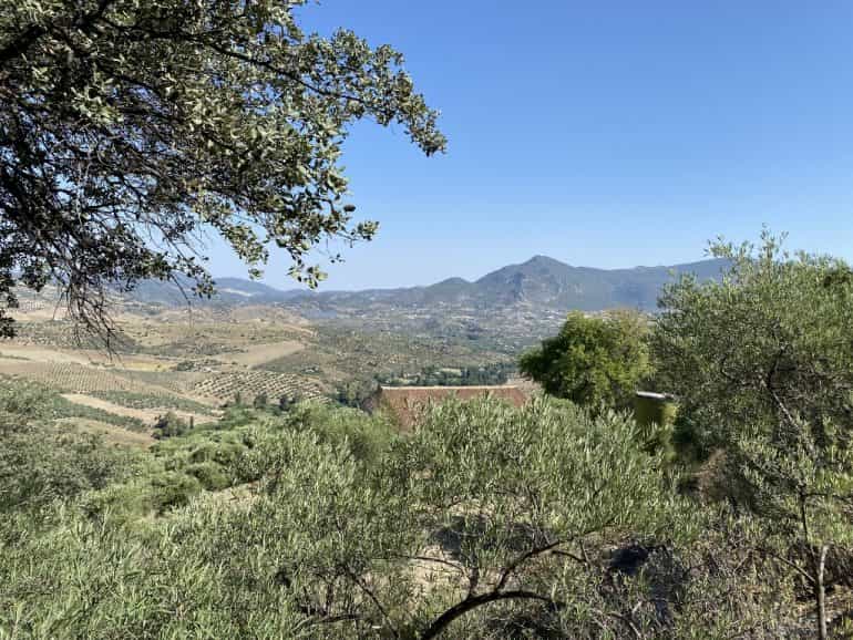 Αλλα σε Zahara de la Sierra, Andalusia 12013562