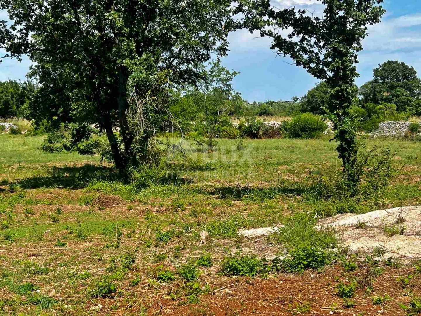 Γη σε Vodnjan, Istarska Zupanija 12013685