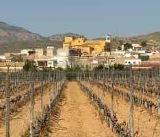 loger dans La Canalosa, Comunidad Valenciana 12015647
