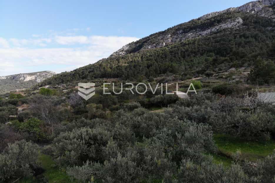 Terre dans Vrisnik, Split-Dalmatia County 12015673