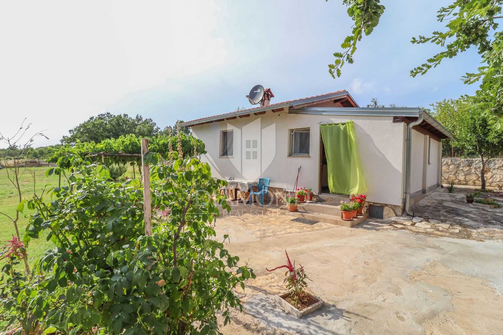 House in Vodnjan, Istarska Zupanija 12022460