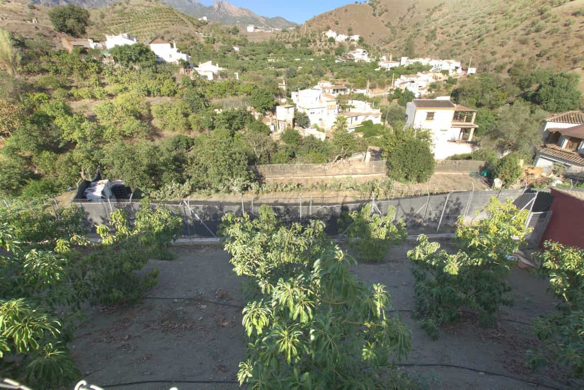 House in Canillas de Aceituno, Andalusia 12028246