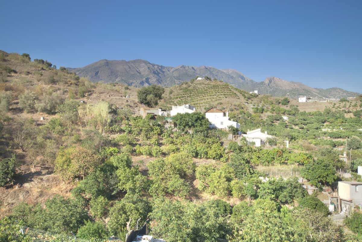 House in Canillas de Aceituno, Andalusia 12028246