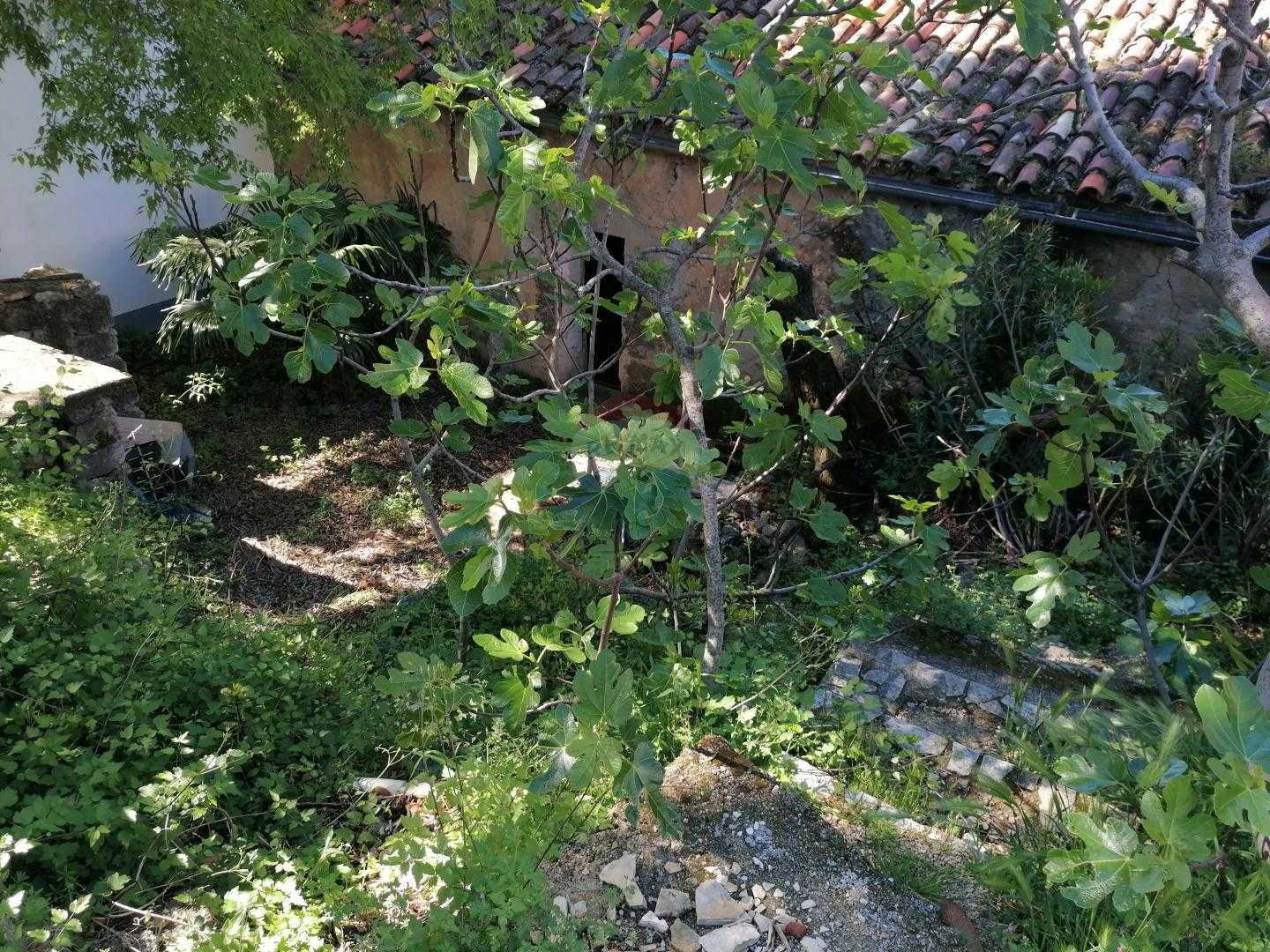Будинок в Цриквениця, Приморсько-Горанська жупанія 12031370