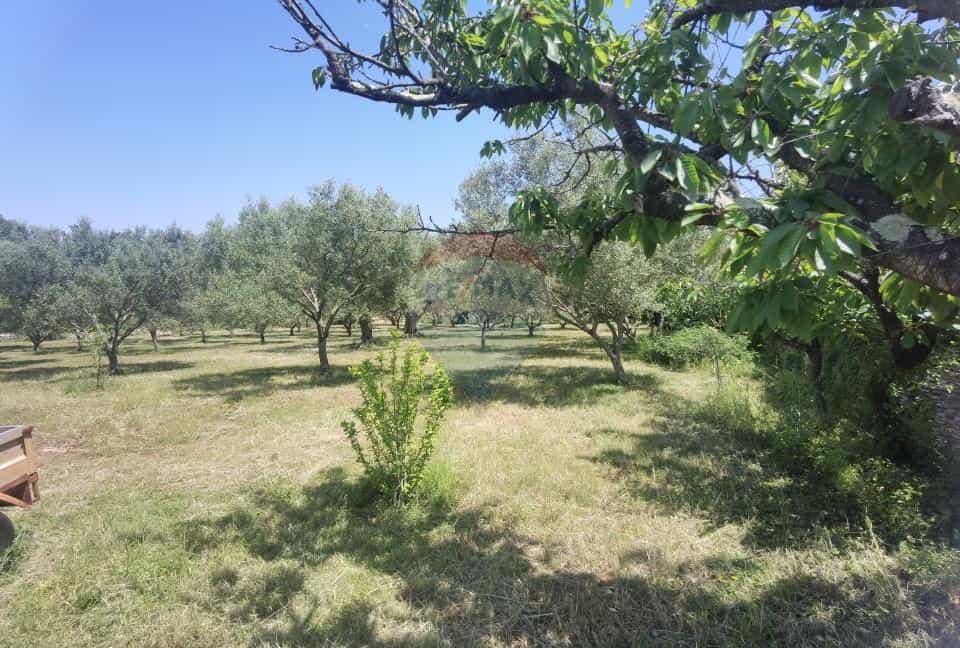 Terre dans Fazana, Istarska Zupanija 12031390