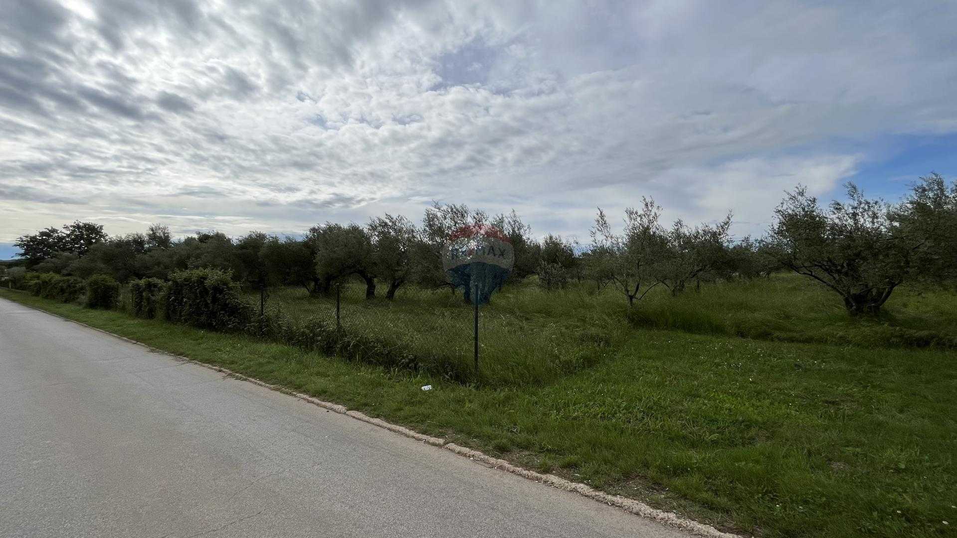 Jord i Tjære, Istarska Zupanija 12031447